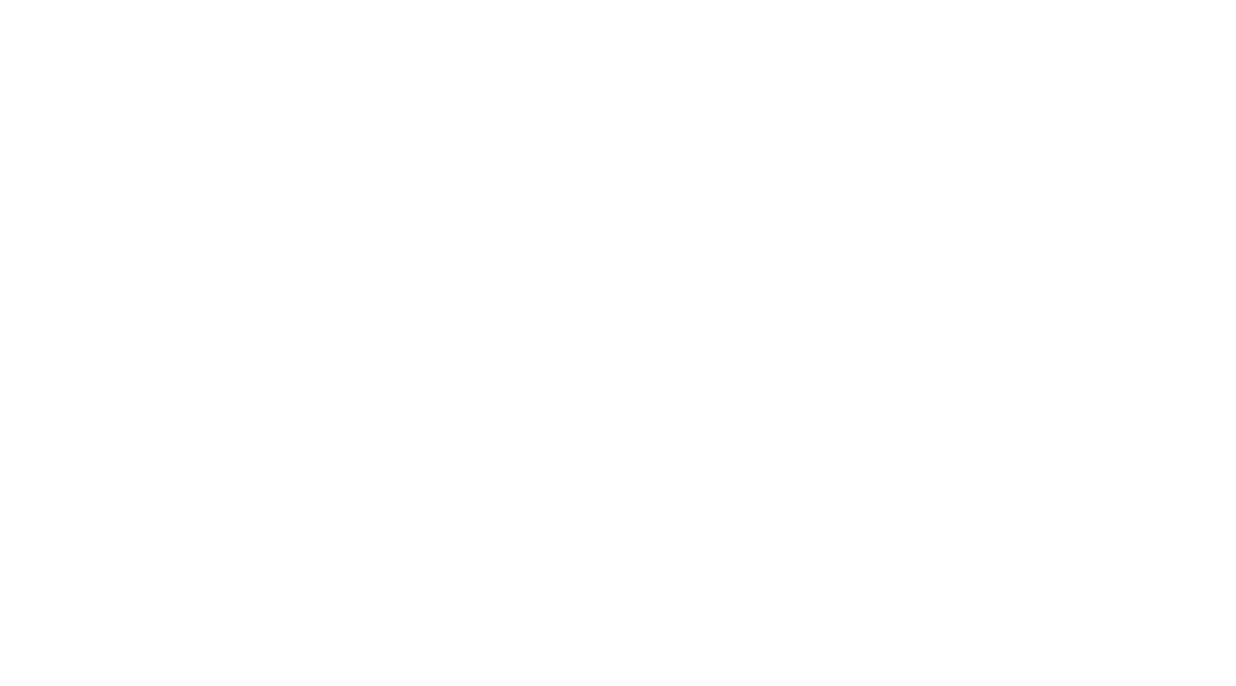 Régis Angnes